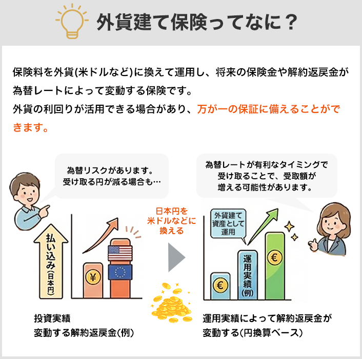 外貨建て保険ってなに？